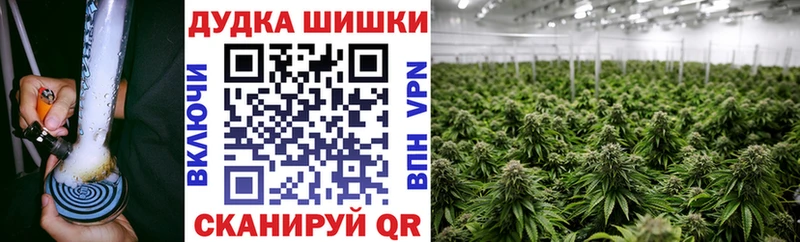 это как зайти Волгореченск Бошки Шишки SATIVA & INDICA сколько стоит